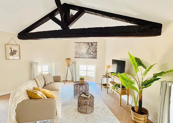 Ravissant Centre Historique Αλμπί