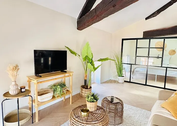 Ravissant Centre Historique Αλμπί