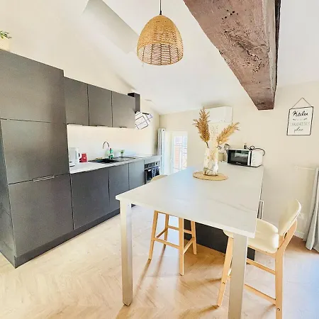 Ravissant Centre Historique * Albi