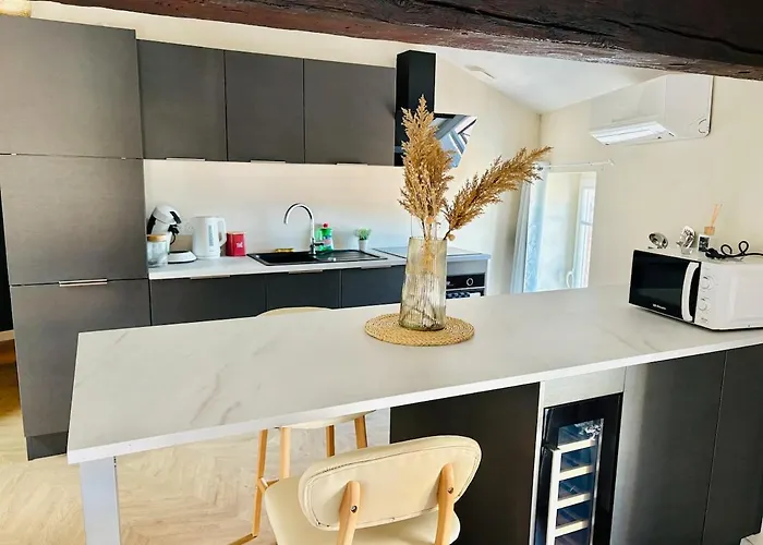 Ravissant Centre Historique Apartmán *